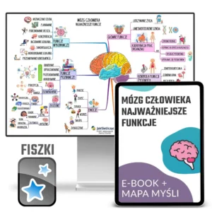 mózg człowieka - najważniejsze funkcje