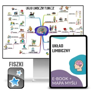układ limbiczny - zestaw edukacyjny