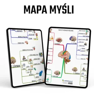 E-book – Płaty mózgu, mapa myśli