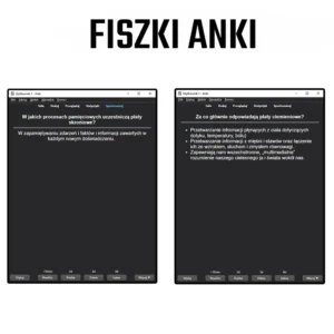 fiszki - anki